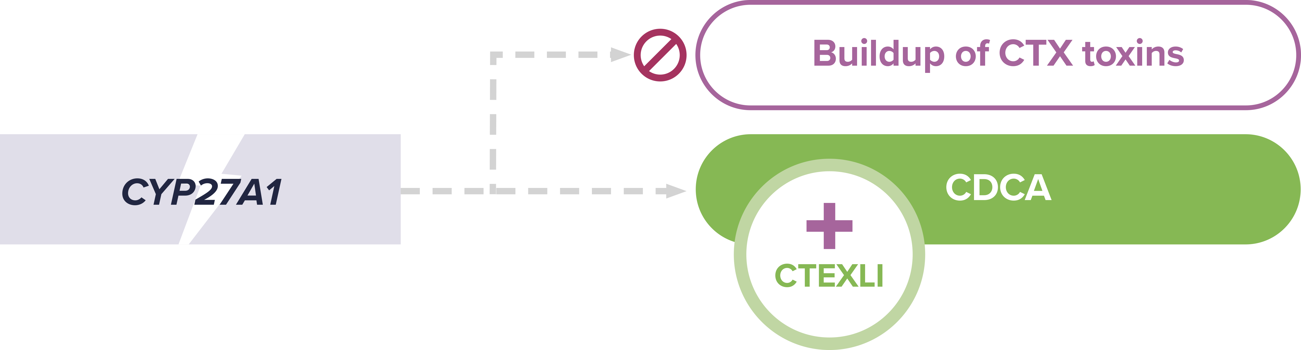 CTEXLI replaces CDCA and prevents the buildup of excess CTX toxins.